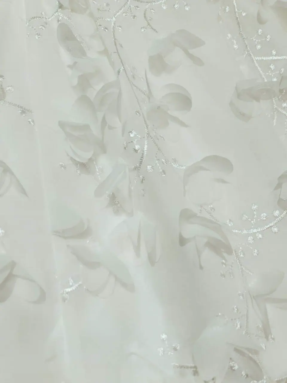 TOCCA スタッフf コーディネート画像