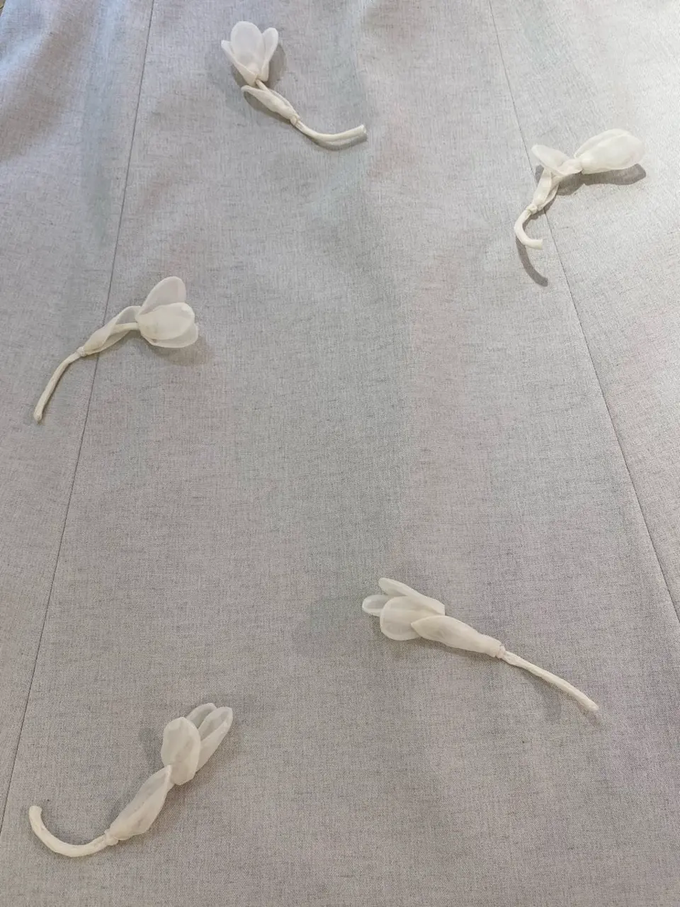 TOCCA YK コーディネート画像