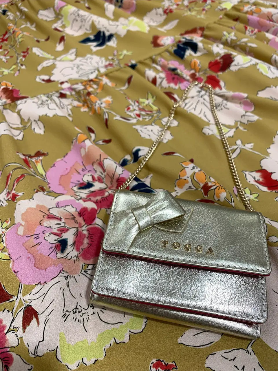 TOCCA 𝓕 コーディネート画像