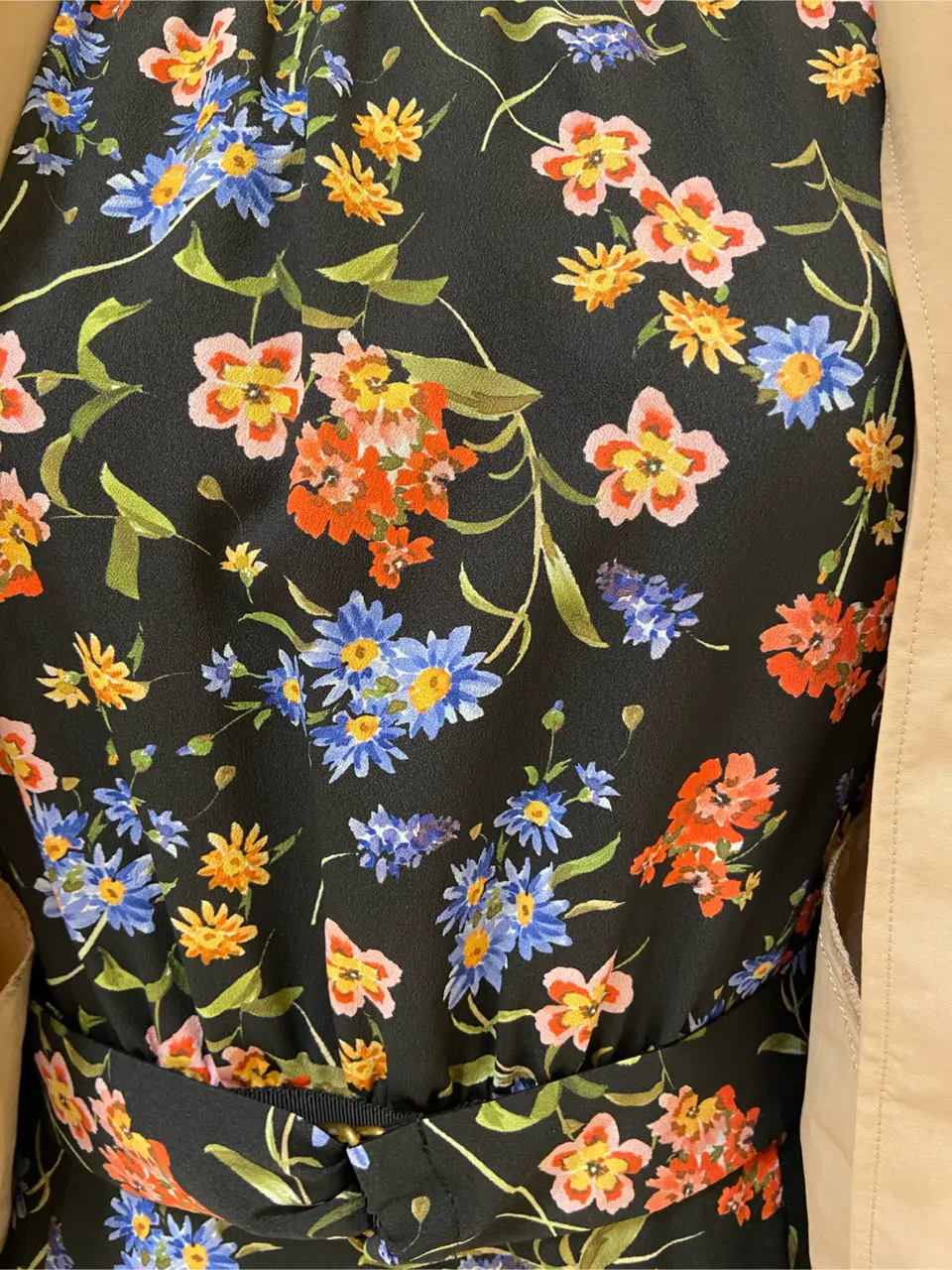 TOCCA 𝕂 コーディネート画像