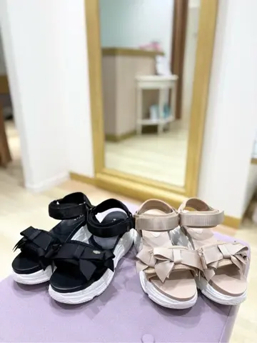 TOCCA 𝒽 コーディネート画像