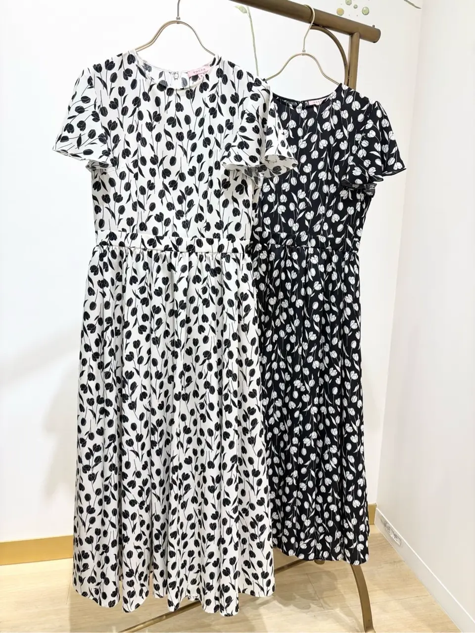 TOCCA 𝒽 コーディネート画像