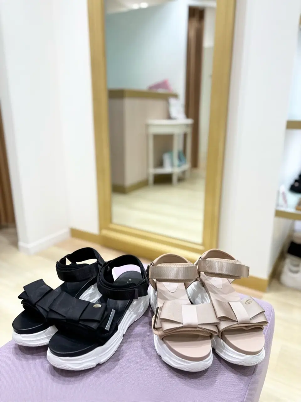 TOCCA 𝒽 コーディネート画像