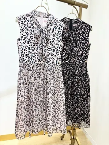 TOCCA 𝒽 コーディネート画像