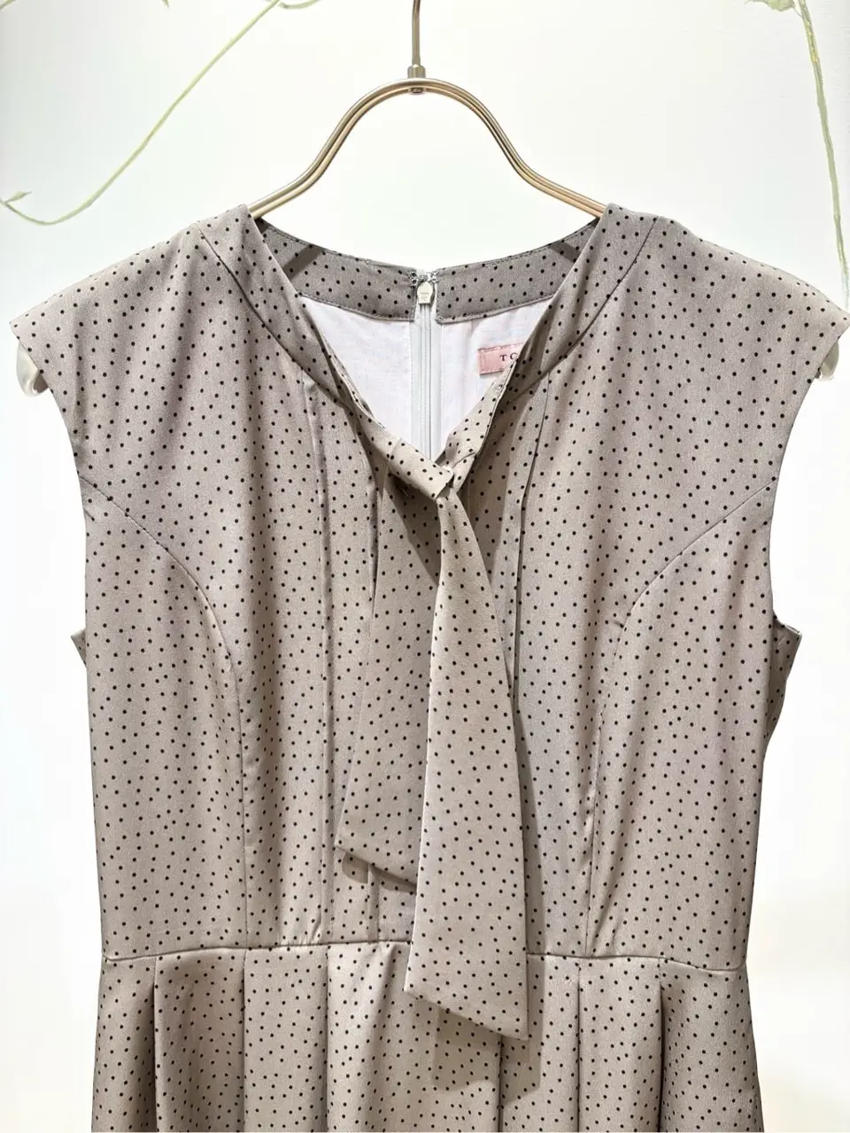 TOCCA 𝒽 コーディネート画像