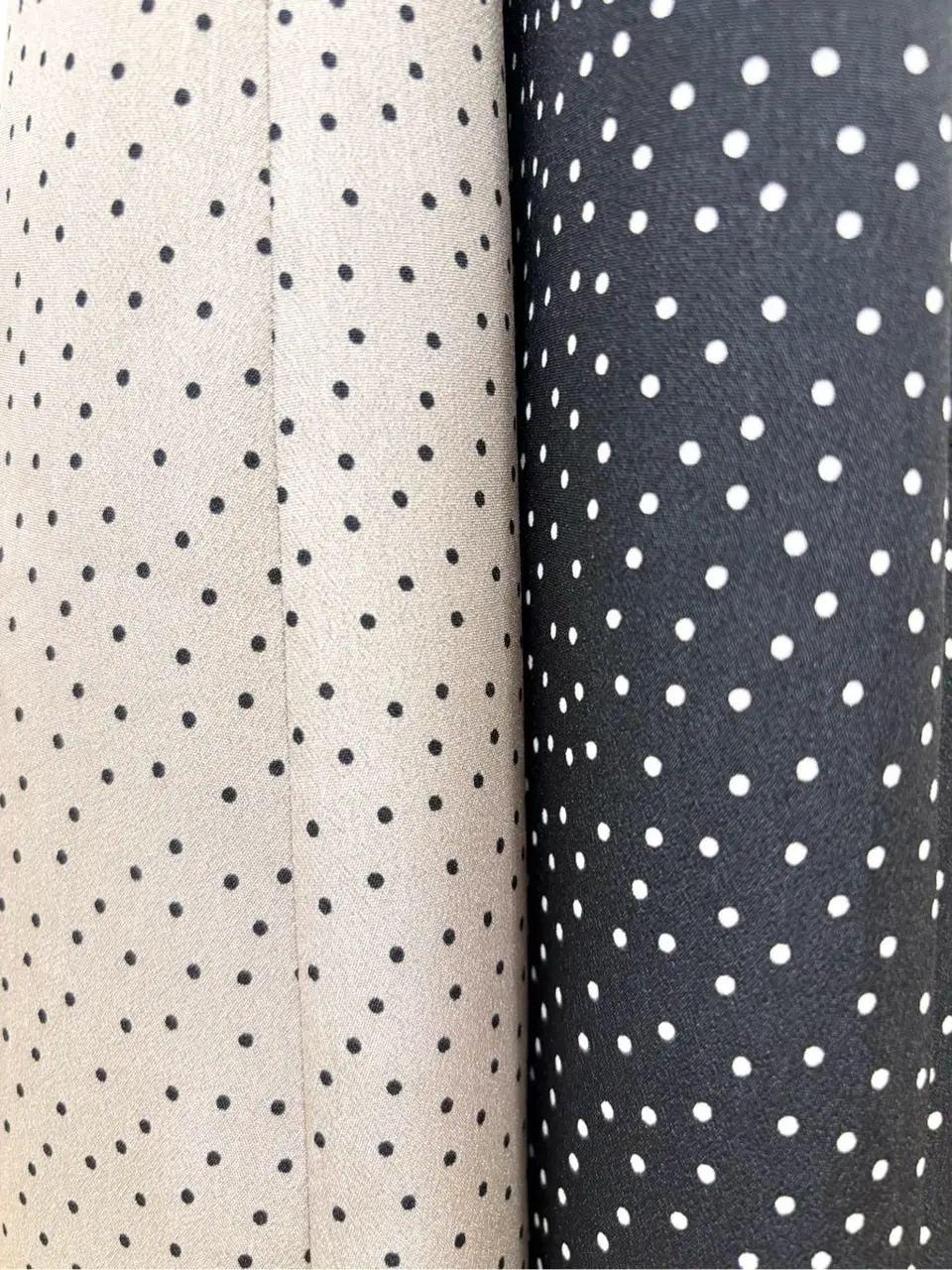 TOCCA 𝒽 コーディネート画像