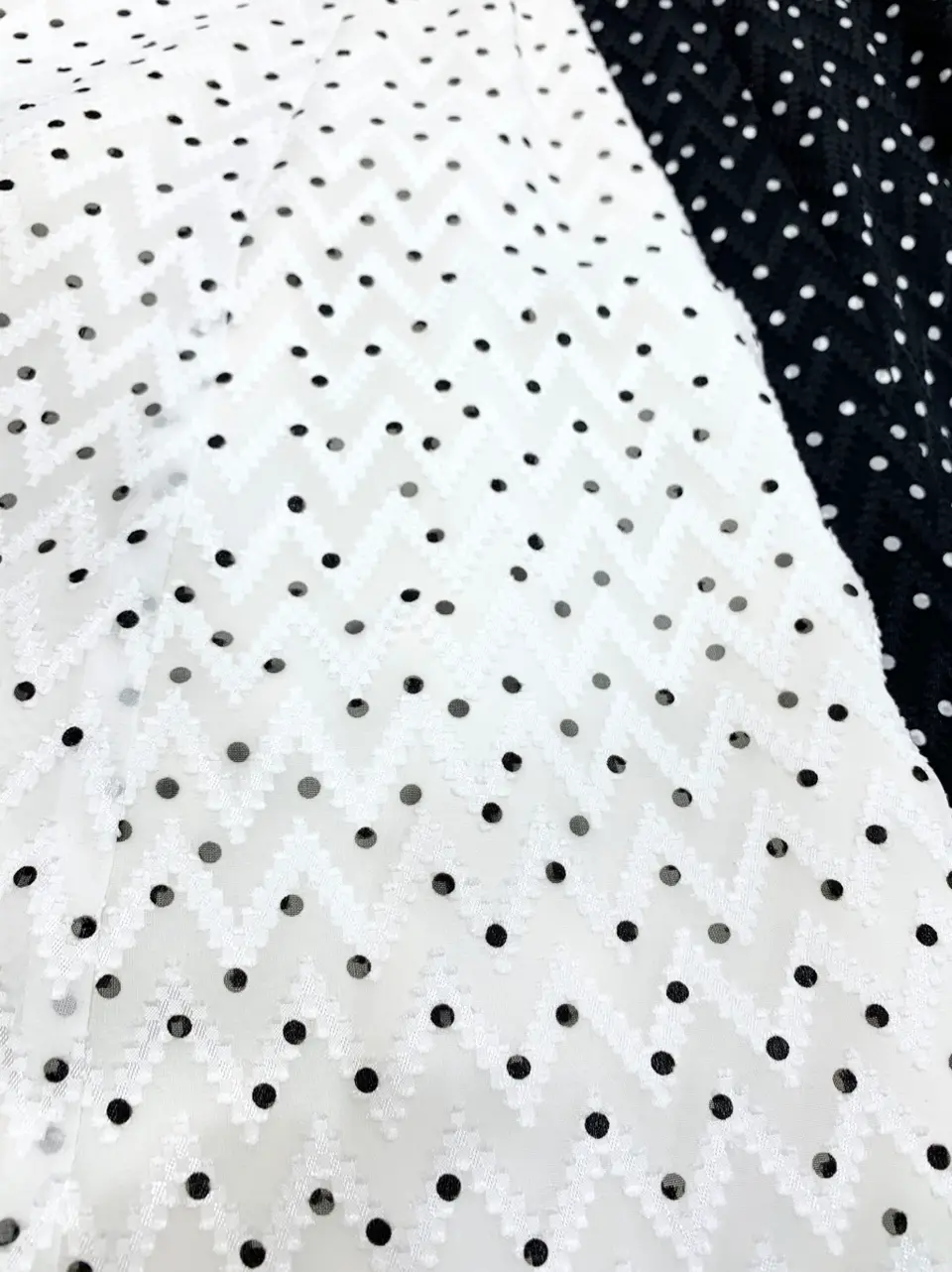 TOCCA 𝓕 コーディネート画像