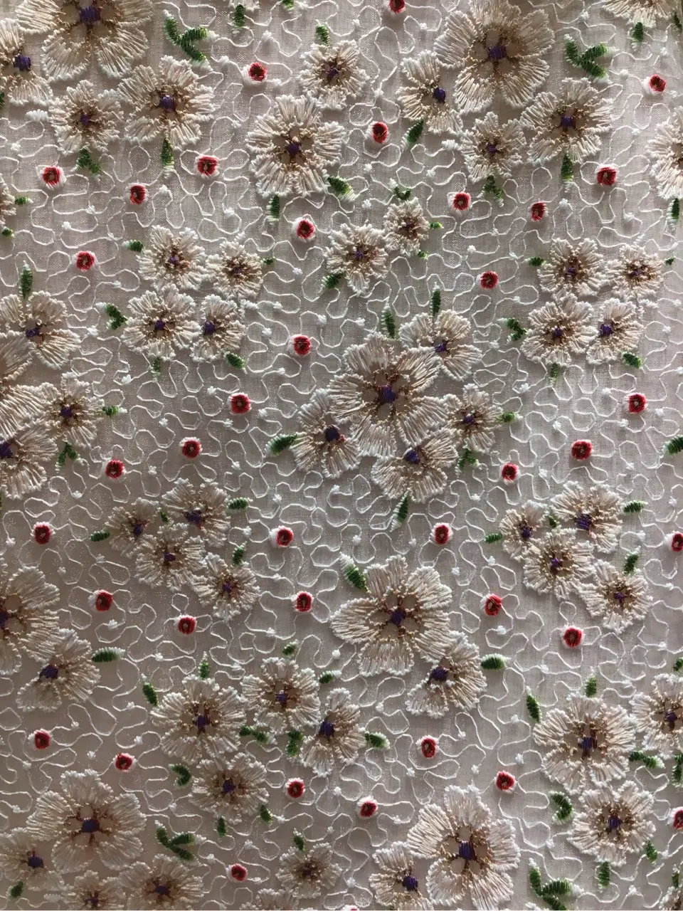 TOCCA 池部 コーディネート画像