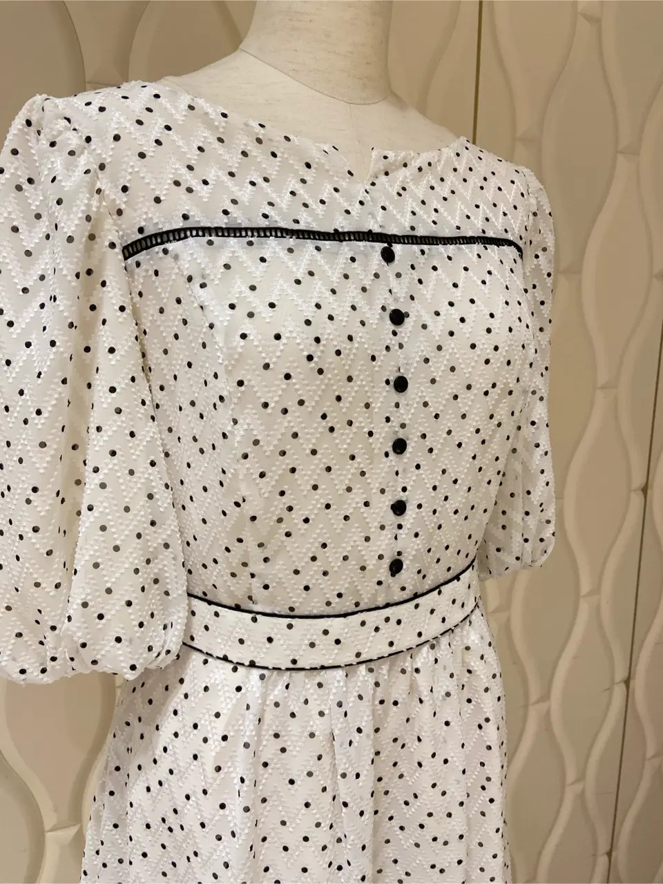 TOCCA 𝕂 コーディネート画像