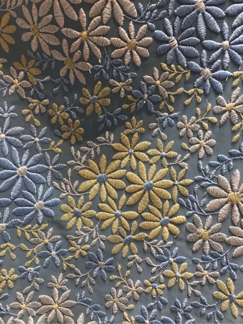 TOCCA 池部 コーディネート画像