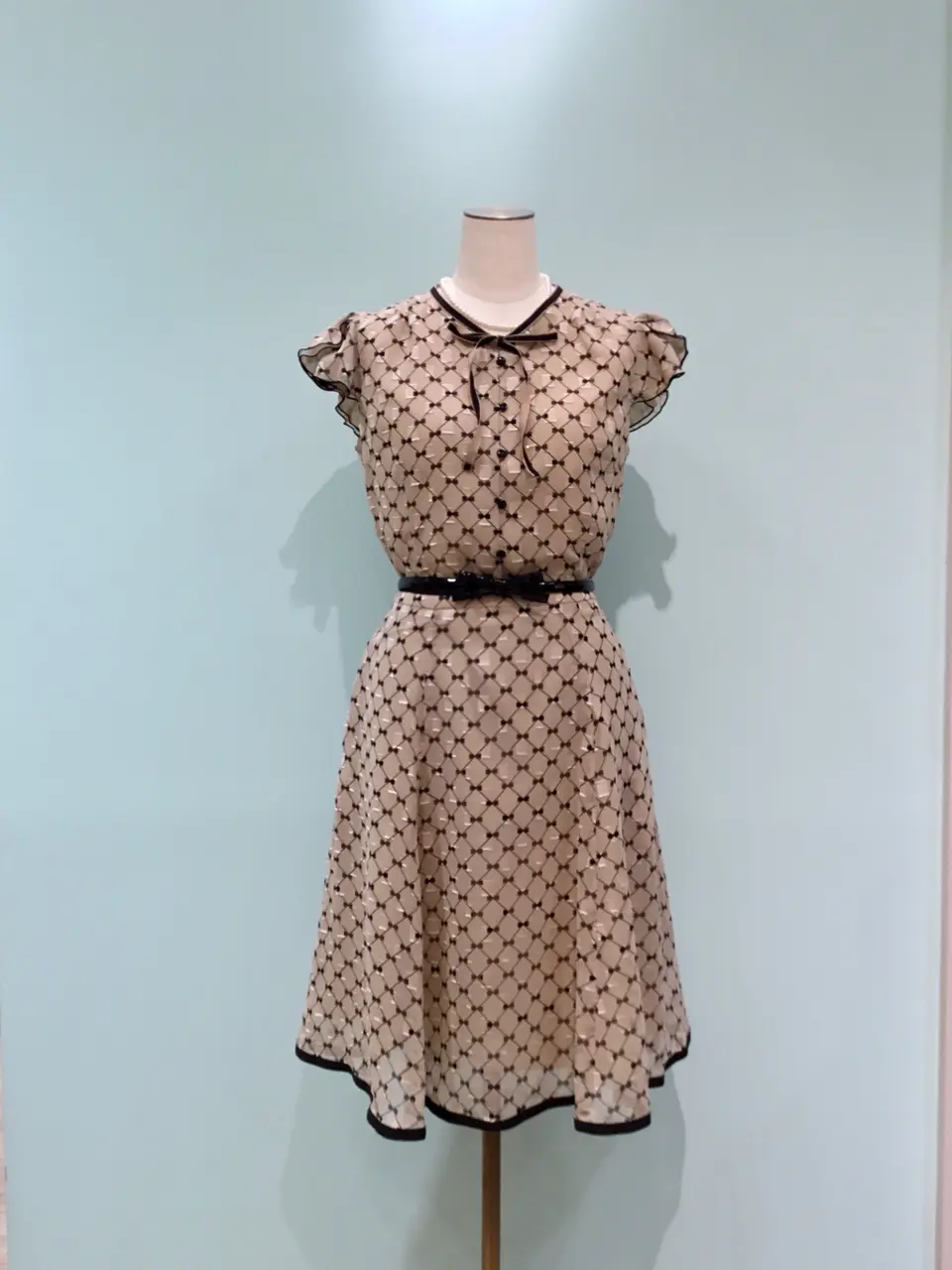 TOCCA Y.K コーディネート画像