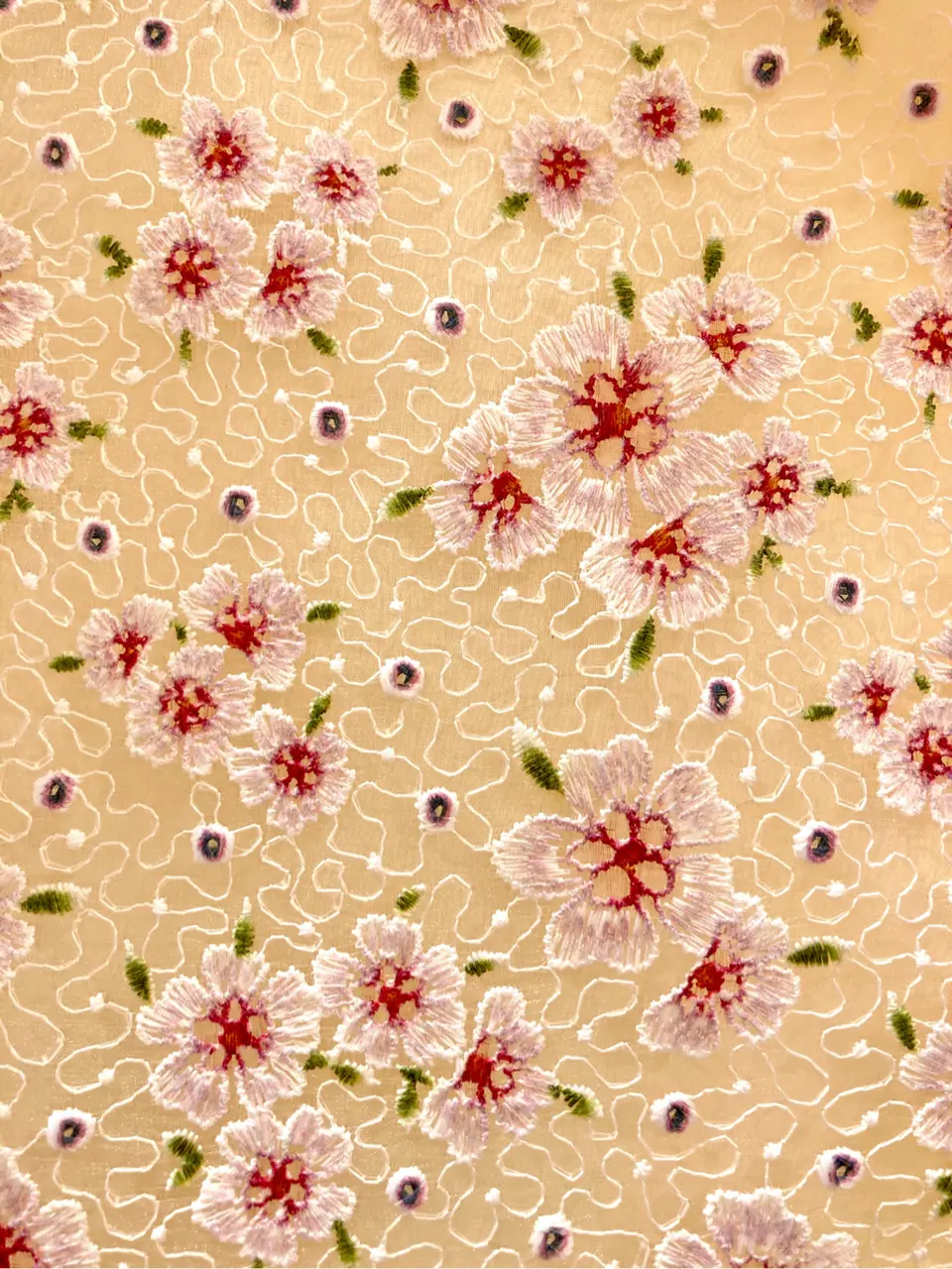 TOCCA mimura コーディネート画像