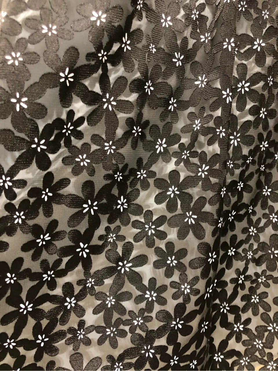 TOCCA スタッフ コーディネート画像