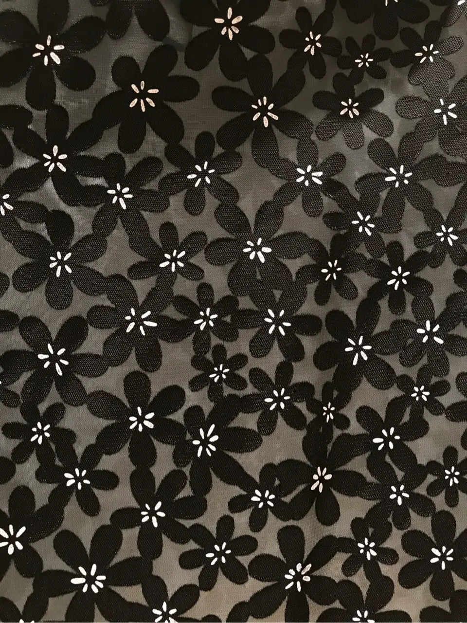 TOCCA スタッフM コーディネート画像