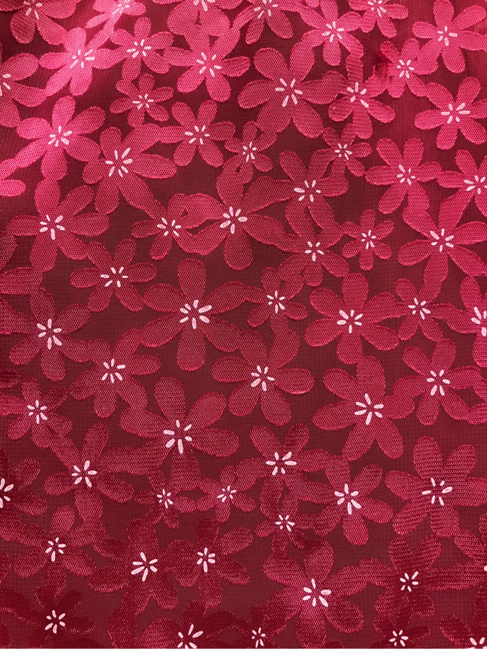 TOCCA スタッフM コーディネート画像