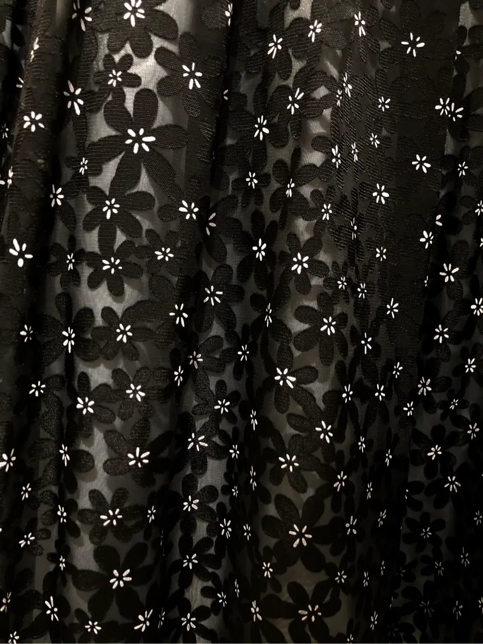 TOCCA Y.N コーディネート画像