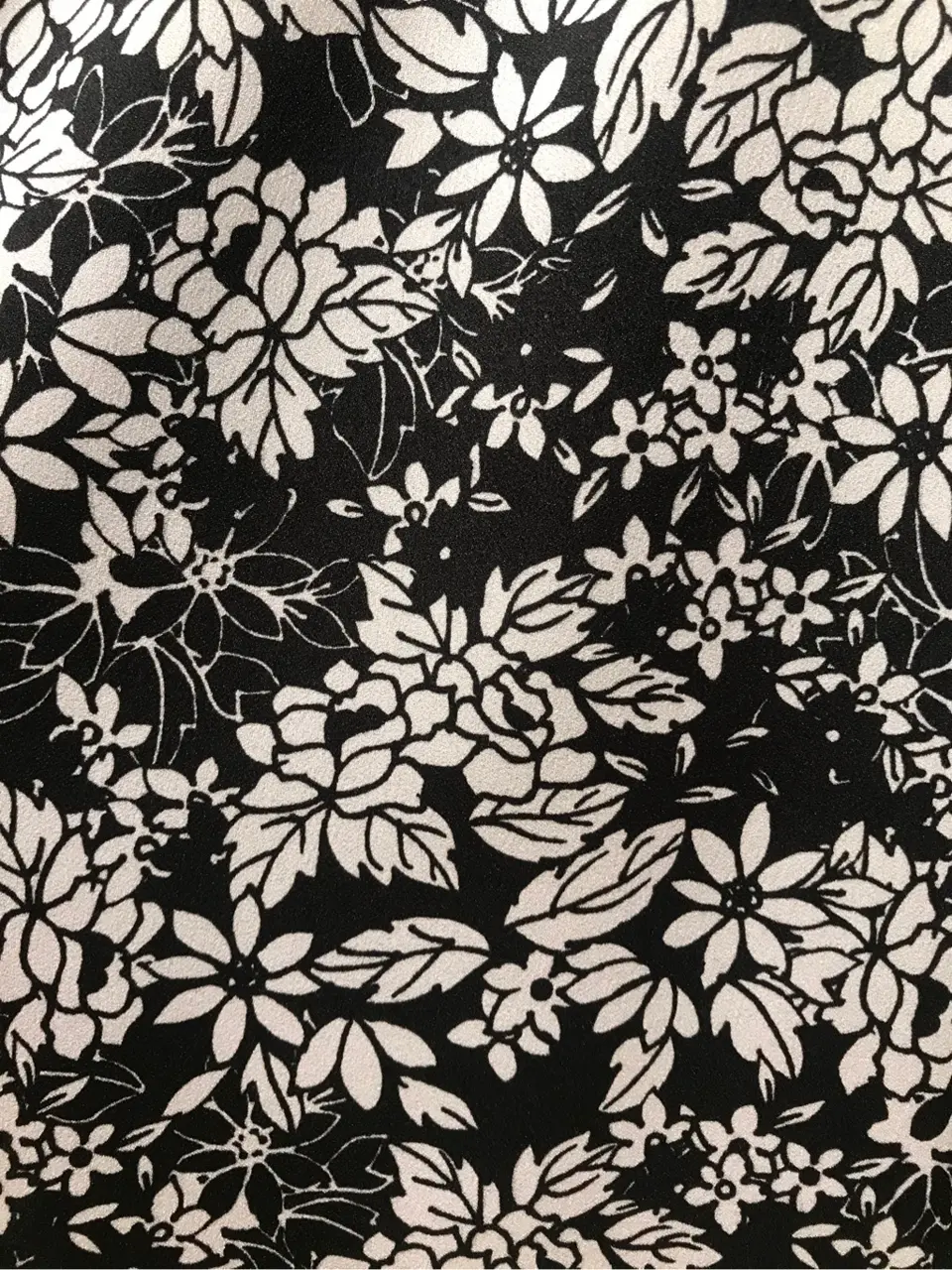 TOCCA スタッフM コーディネート画像