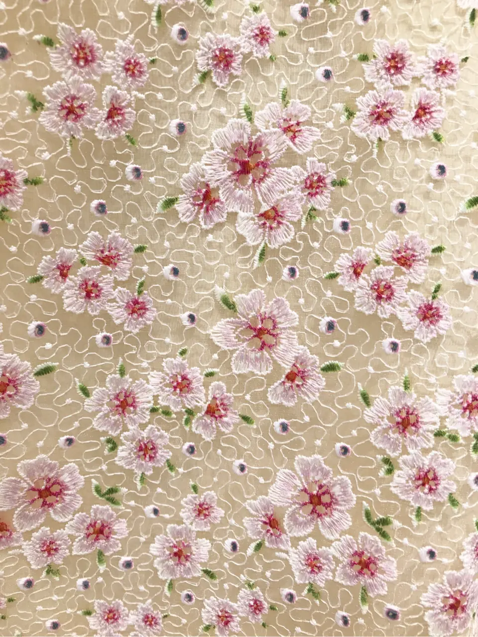 TOCCA スタッフM コーディネート画像