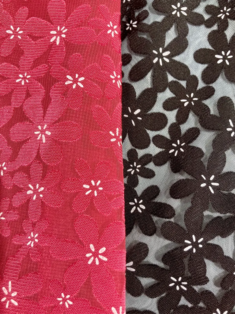 TOCCA mimura コーディネート画像