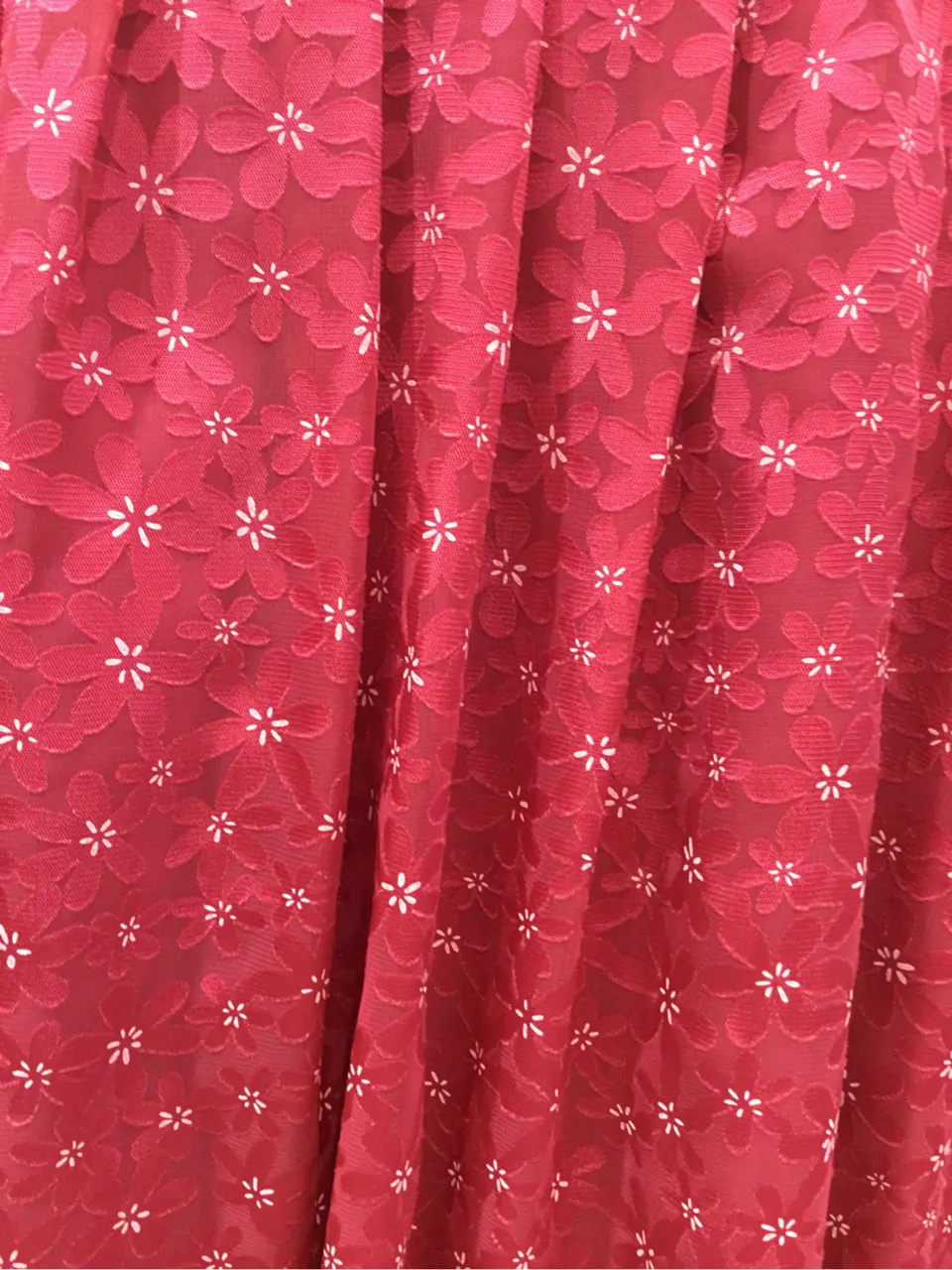 TOCCA Y.K コーディネート画像