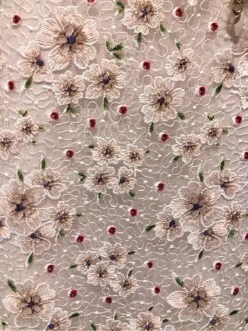 TOCCA Y.N コーディネート画像