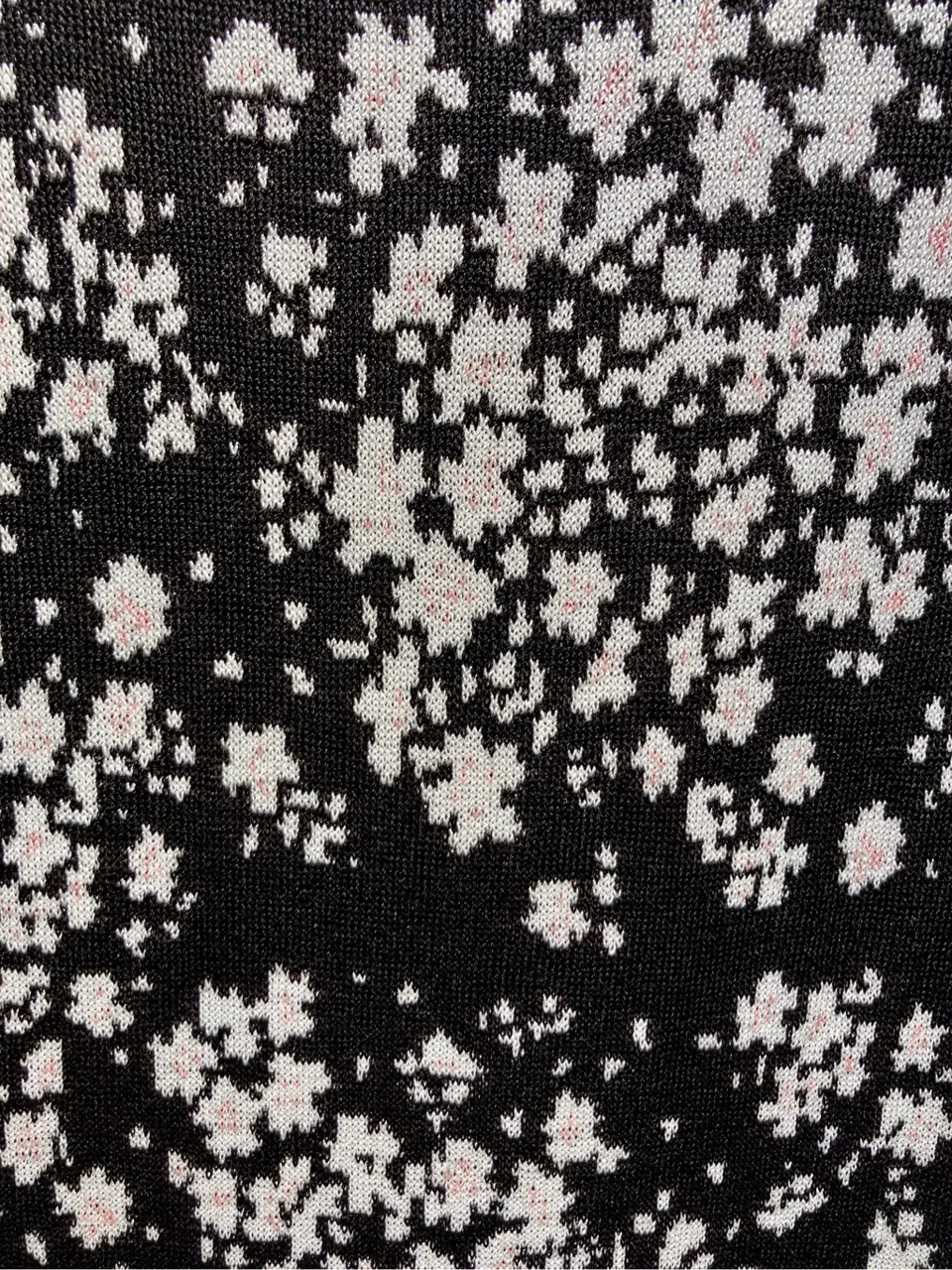 TOCCA mimura☺︎ コーディネート画像