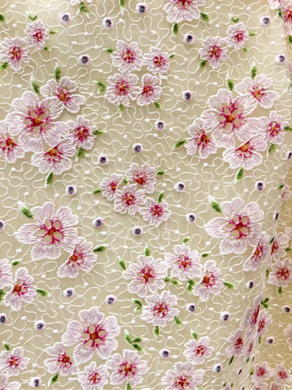 TOCCA Y.K コーディネート画像