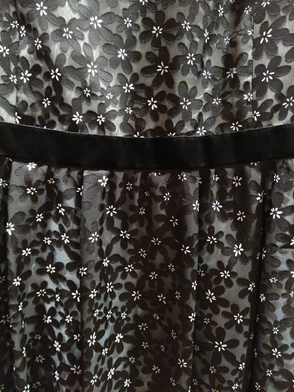 TOCCA A コーディネート画像