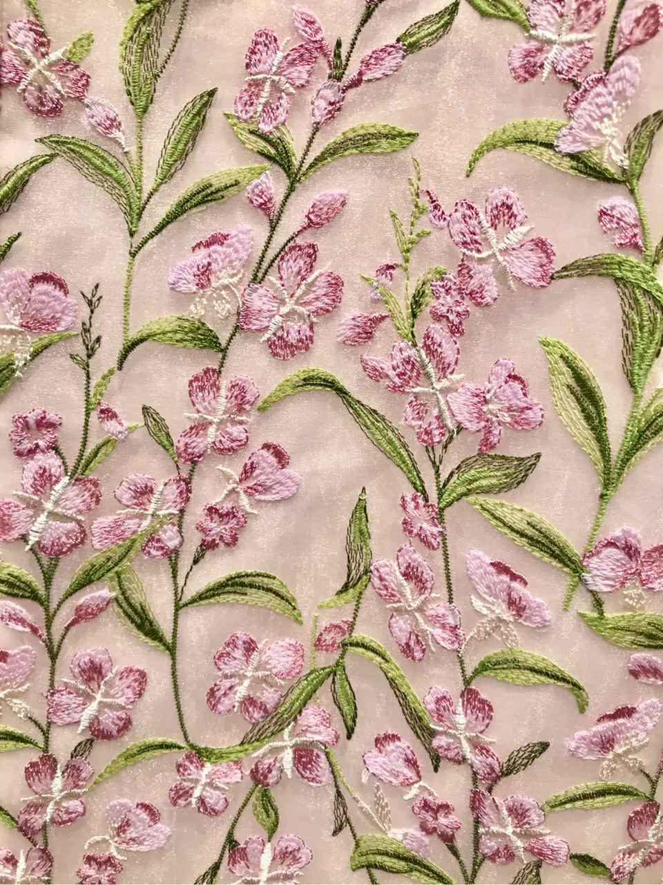 TOCCA スタッフM コーディネート画像