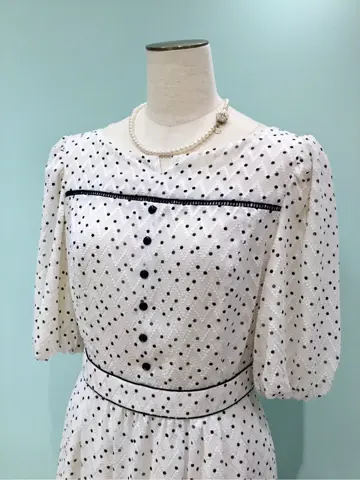 TOCCA Y.K コーディネート画像