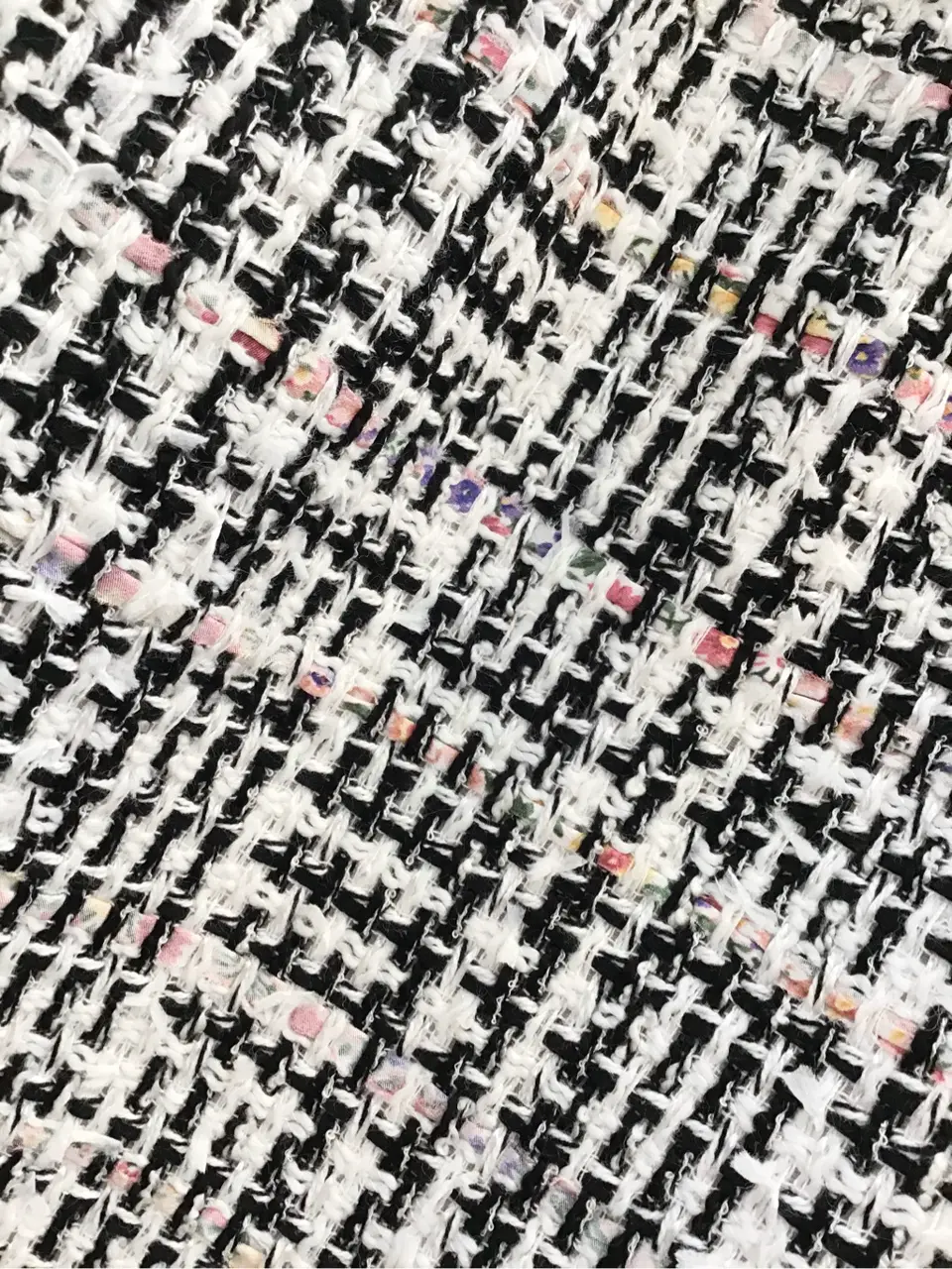 TOCCA 𝒽 コーディネート画像