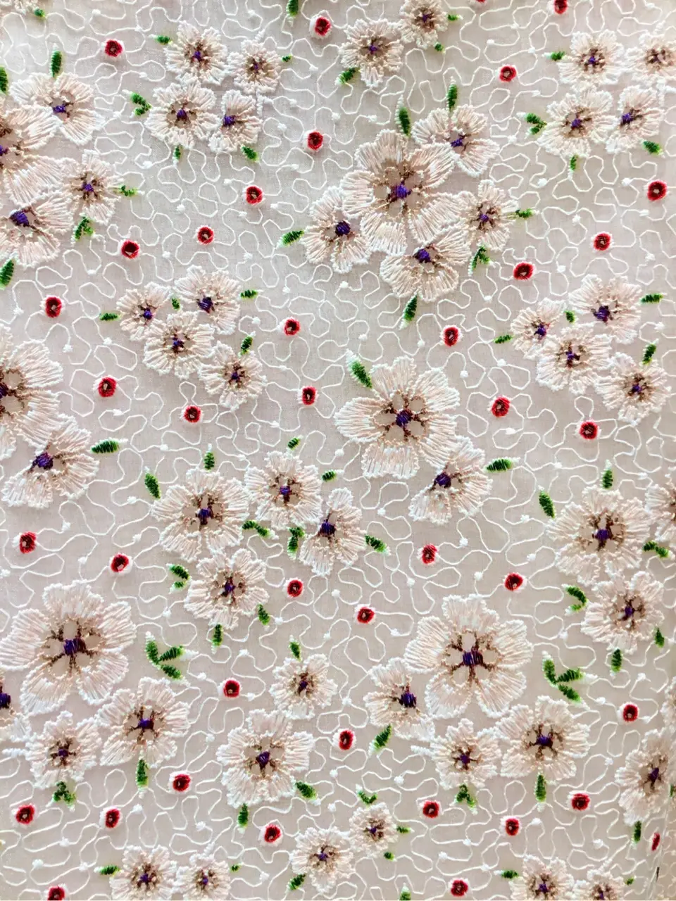 TOCCA Y.K コーディネート画像