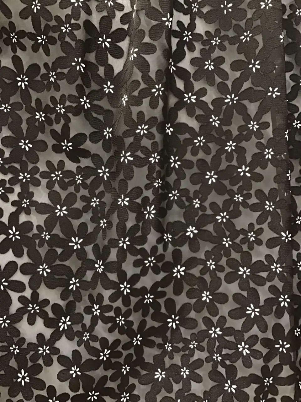 TOCCA 池部 コーディネート画像