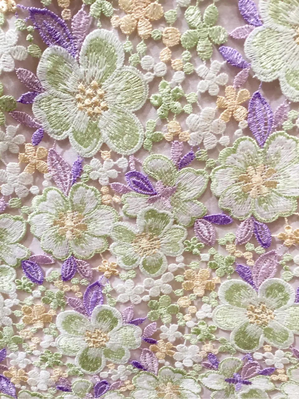 TOCCA Y.K コーディネート画像