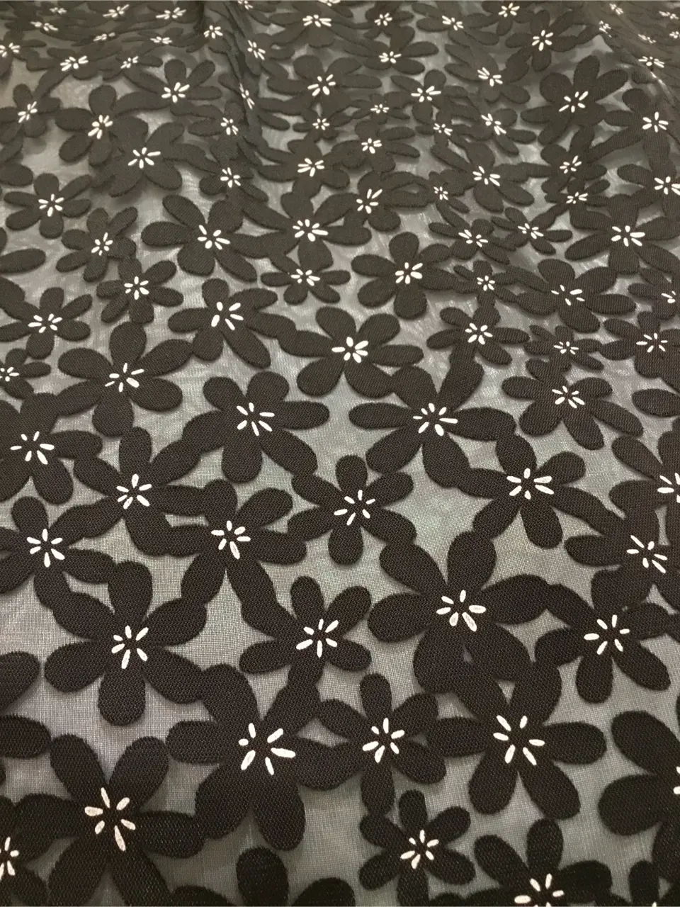 TOCCA Y.K コーディネート画像