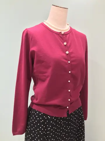 TOCCA Y.K コーディネート画像