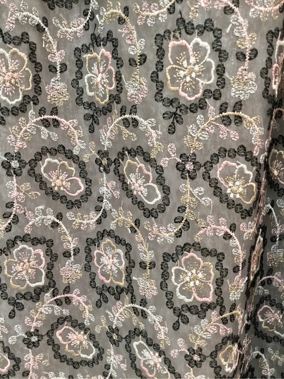 TOCCA Y.K コーディネート画像