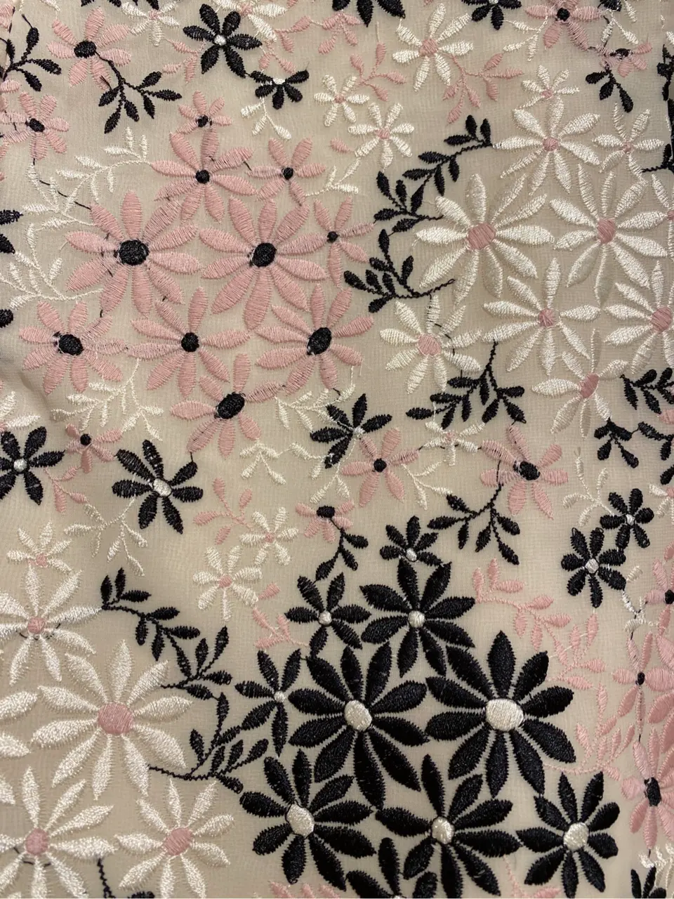 TOCCA A コーディネート画像