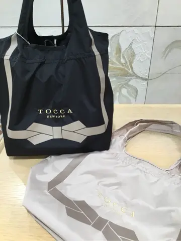 TOCCA 𝒽 コーディネート画像