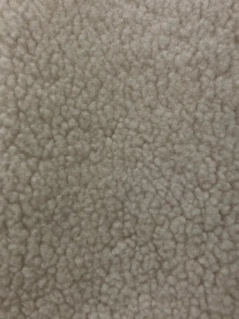 BEIGE， 藤木 コーディネート画像