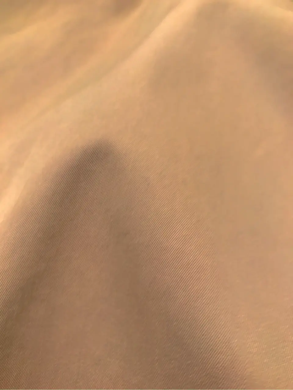 BEIGE， 柴田 コーディネート画像