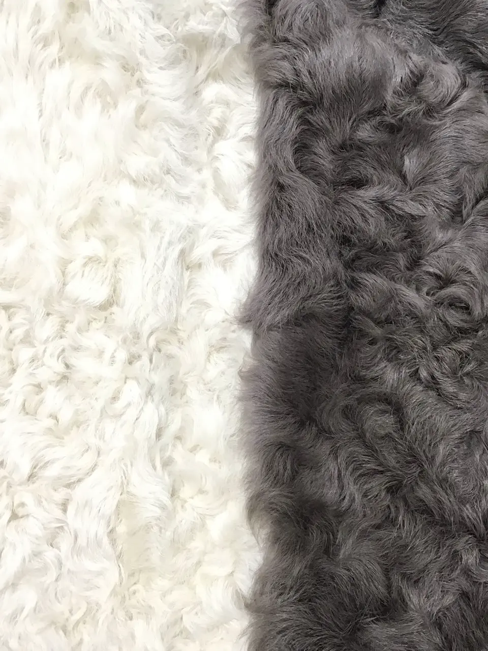 BEIGE， 宮坂 コーディネート画像