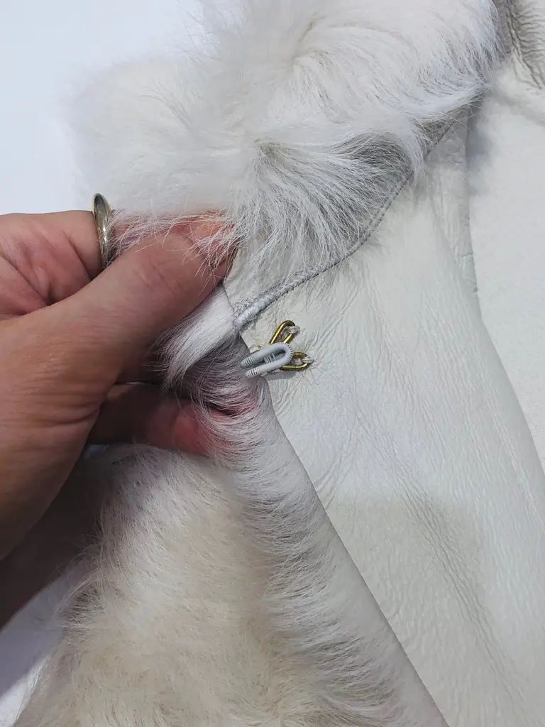 BEIGE， 藤木 コーディネート画像