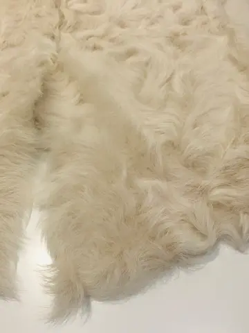 BEIGE， 藤木 コーディネート画像