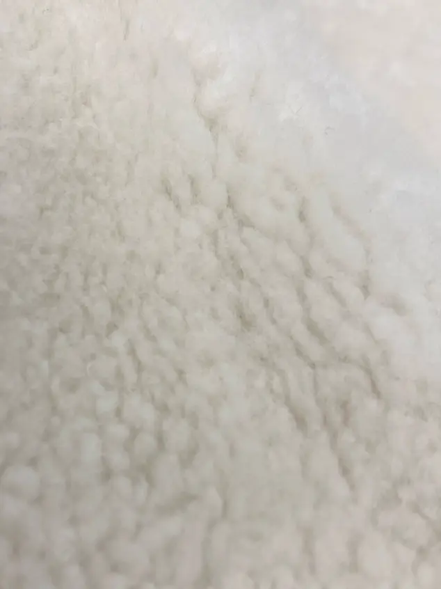 BEIGE， アライ コーディネート画像