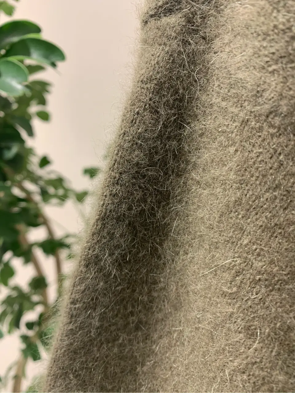 BEIGE， 小泉 コーディネート画像