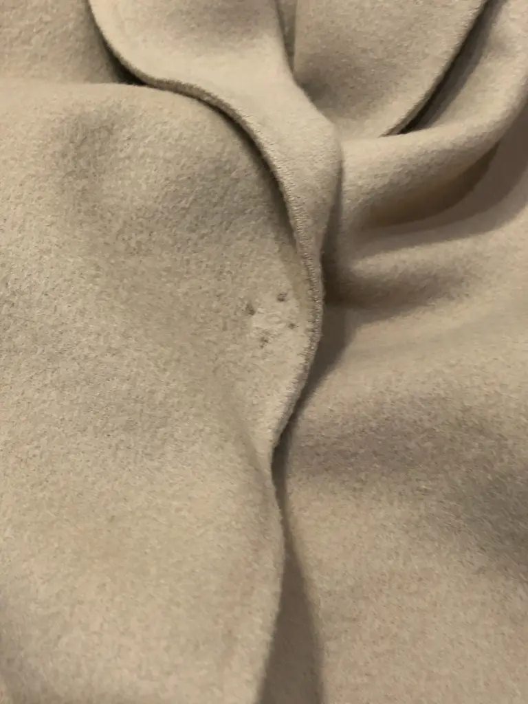 BEIGE， 藤木 コーディネート画像