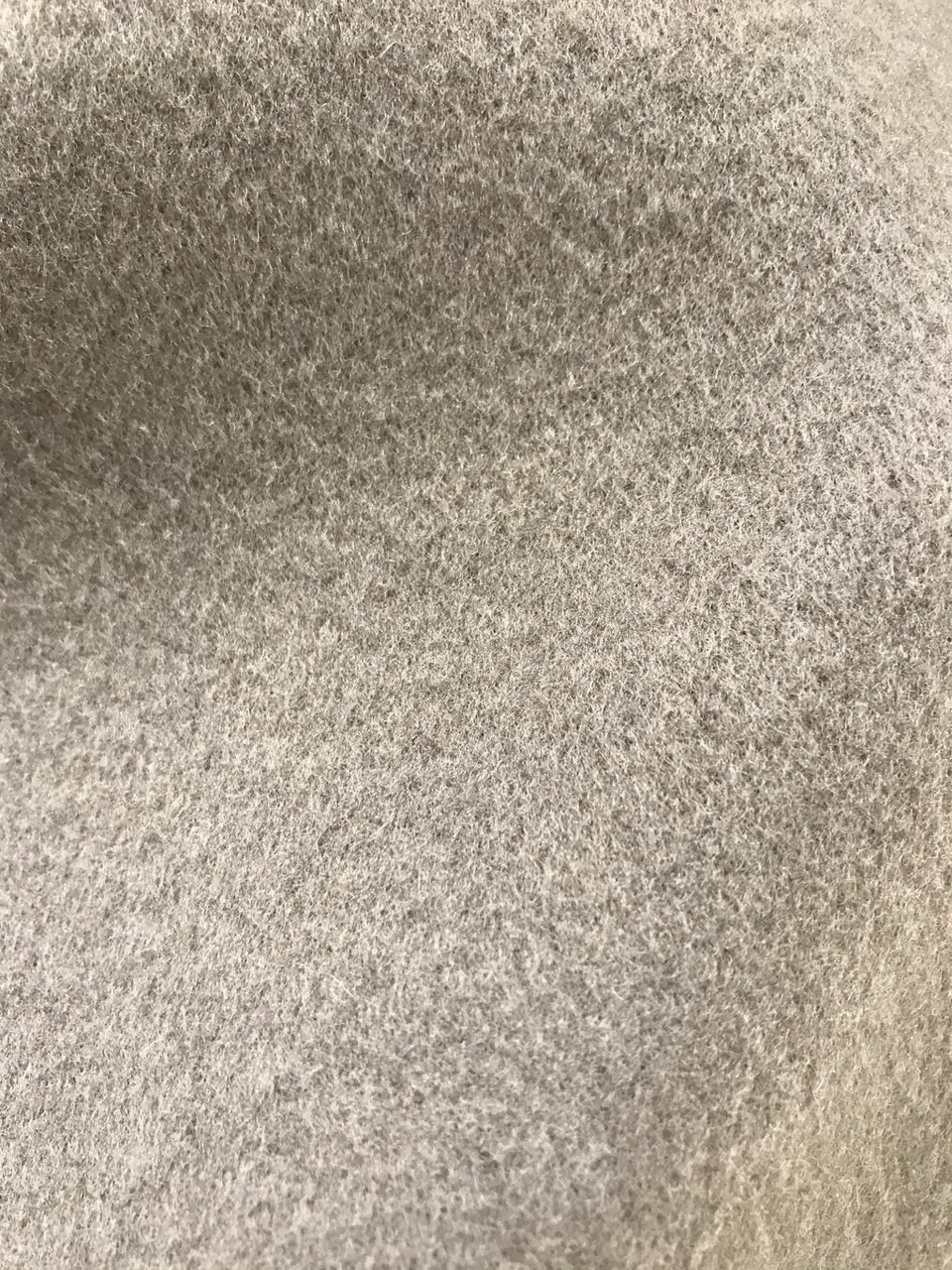 BEIGE， 宮坂 コーディネート画像