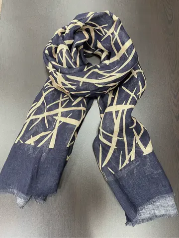 GOTAIRIKU 星野 コーディネート画像