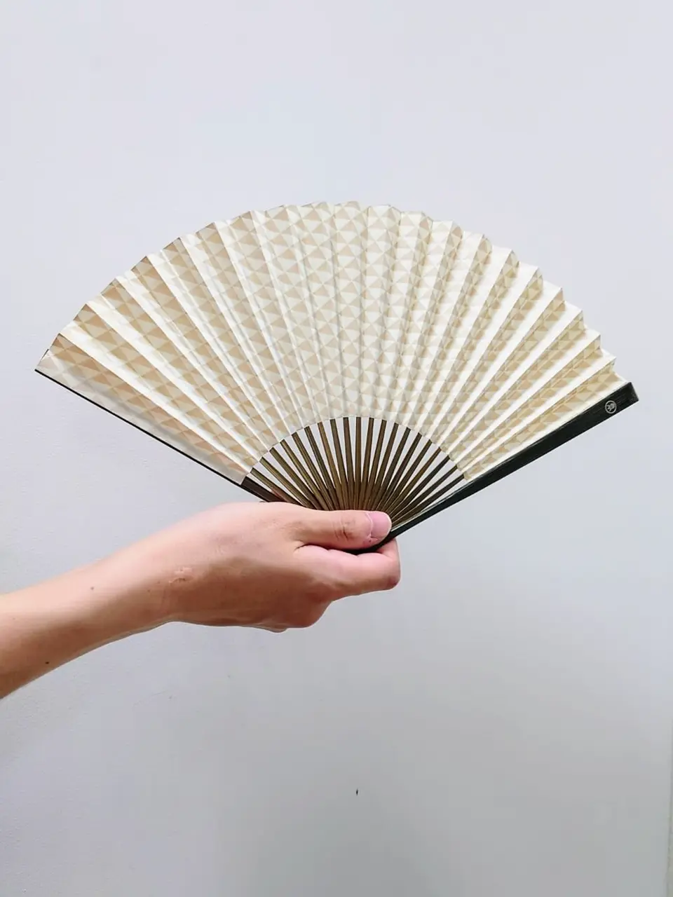 GOTAIRIKU 八幡 コーディネート画像